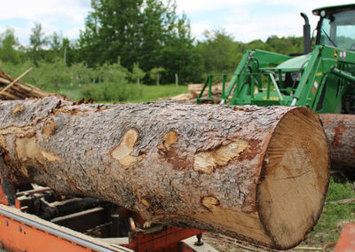 Chargement du bois sur le moulin