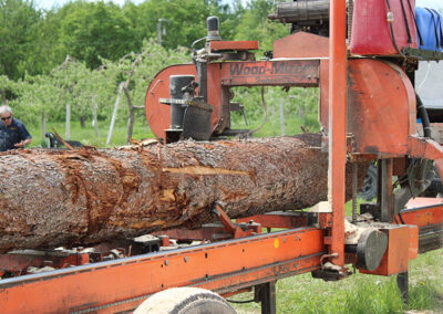 Coupe de bois du moulin mobile