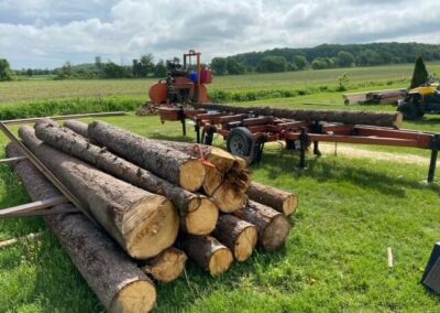 Production de bois pré-sciés